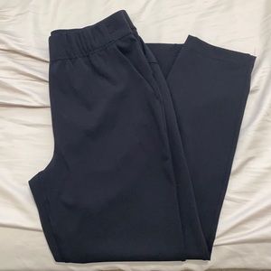 Group by Babaton weekender pant